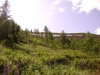 Файл=DSC02098.JPG
Объём=422KB
Размеры=1024x768
Дата=Июль 27, 2009 DSC02098.JPG