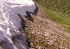 Файл=DSC02101.JPG
Объём=374KB
Размеры=1024x719
Дата=Июль 27, 2009 DSC02101.JPG