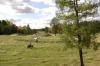 Файл=DSC04723.JPG
Объём=2808KB
Размеры=3072x2048
Дата=Сент 15, 2015 DSC04723.JPG