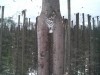 Файл=дэвушка_стройненькая.jpg
Объём=1112KB
Размеры=2048x1536
Дата=Фев 16, 2008 дэвушка_стройненькая.jpg