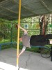 Файл=IMG_0869.JPG
Объём=263KB
Размеры=980x1306
Дата=Янв 24, 2008 IMG_0869.JPG