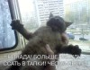 Файл=1209239206_post-13-12090211526418.jpg
Объём=55KB
Размеры=550x429
Дата=Апр 27, 2008 1209239206_post-13-12090211526418.jpg