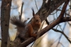 DSC_4572.jpg