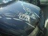 Файл=DSC00164.JPG
Объём=249KB
Размеры=1600x1200
Дата=Март 18, 2008 DSC00164.JPG