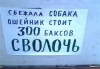 Файл=крас.jpg
Объём=53KB
Размеры=600x417
Дата=Март 14, 2012 крас.jpg