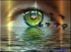 Файл=1208437752_79.jpg
Объём=32KB
Размеры=450x337
Дата=Май 01, 2008 1208437752_79.jpg