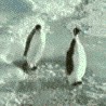 Файл=avatar17461_3.gif
Объём=189KB
Размеры=98x98
Дата=Апр 28, 2008 avatar17461_3.gif