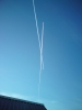 Файл=DSC00018.JPG
Объём=1530KB
Размеры=1125x1500
Дата=Март 02, 2010 DSC00018.JPG