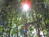 Файл=SSL21377.jpg
Объём=1244KB
Размеры=1024x768
Дата=Июль 01, 2008 SSL21377.jpg