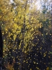 Файл=autum1.jpg
Объём=1262KB
Размеры=750x1000
Дата=Сент 20, 2010 autum1.jpg