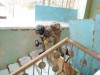 Файл=DSC00053.JPG
Объём=1062KB
Размеры=2048x1536
Дата=Апр 17, 2008 DSC00053.JPG
