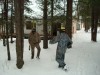 Файл=DSC00092.JPG
Объём=1158KB
Размеры=2048x1536
Дата=Апр 17, 2008 DSC00092.JPG