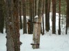 Файл=DSC00097.JPG
Объём=1018KB
Размеры=2048x1536
Дата=Апр 17, 2008 DSC00097.JPG