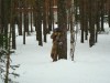 Файл=DSC00098.JPG
Объём=1132KB
Размеры=2048x1536
Дата=Апр 17, 2008 DSC00098.JPG