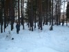 Файл=DSC00115.JPG
Объём=1132KB
Размеры=2048x1536
Дата=Апр 17, 2008 DSC00115.JPG