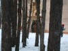 Файл=DSC00118.JPG
Объём=1206KB
Размеры=2048x1536
Дата=Апр 17, 2008 DSC00118.JPG