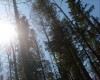 Файл=восхождение_на_Конжак_067.jpg
Объём=245KB
Размеры=1062x854
Дата=Май 26, 2008 восхождение_на_Конжак_067.jpg