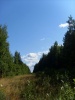 Файл=дорога_в_лесу.JPG
Объём=187KB
Размеры=857x1142
Дата=Авг 18, 2008 дорога_в_лесу.JPG