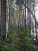 Файл=тропа.JPG
Объём=334KB
Размеры=857x1142
Дата=Авг 03, 2008 тропа.JPG