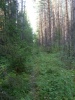 Файл=тропка.JPG
Объём=295KB
Размеры=857x1142
Дата=Авг 03, 2008 тропка.JPG