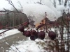 Файл=черноплодка.JPG
Объём=175KB
Размеры=1142x857
Дата=Окт 17, 2008 черноплодка.JPG