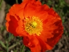 Файл=200906040002.jpg
Объём=110KB
Размеры=1094x821
Дата=Июнь 04, 2009 200906040002.jpg