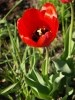 Файл=200906040003.jpg
Объём=118KB
Размеры=821x1094
Дата=Июнь 04, 2009 200906040003.jpg