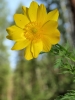 Файл=P1010586.jpg
Объём=70KB
Размеры=684x912
Дата=Июнь 08, 2009 P1010586.jpg