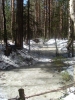 Файл=SL380045.JPG
Объём=530KB
Размеры=1224x1632
Дата=Май 18, 2009 SL380045.JPG