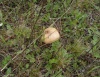Файл=SL380392.JPG
Объём=279KB
Размеры=926x718
Дата=Июнь 08, 2008 SL380392.JPG