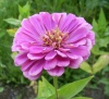 Файл=SL381210.JPG
Объём=143KB
Размеры=928x852
Дата=Июль 19, 2008 SL381210.JPG