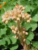 Файл=SL381290.JPG
Объём=152KB
Размеры=781x1036
Дата=Июль 19, 2008 SL381290.JPG