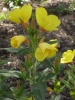 Файл=SL381293.JPG
Объём=186KB
Размеры=857x1142
Дата=Июль 19, 2008 SL381293.JPG