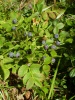 Файл=SL381795.JPG
Объём=254KB
Размеры=857x1142
Дата=Июль 31, 2008 SL381795.JPG
