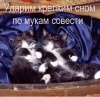 Файл=img_15033934_948_13.jpg
Объём=35KB
Размеры=463x450
Дата=Сент 23, 2008 img_15033934_948_13.jpg