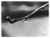 Файл=waterdrop_art.jpg
Объём=206KB
Размеры=700x541
Дата=Март 22, 2009 waterdrop_art.jpg