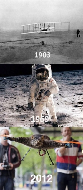 ,     