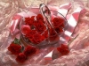 Файл=розы.jpg
Объём=38KB
Размеры=350x263
Дата=Июль 22, 2009 розы.jpg