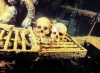 Файл=t_scull_copy_639.jpg
Объём=43KB
Размеры=400x295
Дата=Май 10, 2010 t_scull_copy_639.jpg