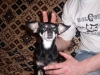 Файл=x_0bd0fe30.jpg
Объём=71KB
Размеры=604x453
Дата=Нояб 20, 2011 x_0bd0fe30.jpg