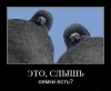 Файл=x_75c108f7.jpg
Объём=56KB
Размеры=580x479
Дата=Апр 15, 2010 x_75c108f7.jpg