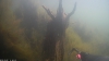 14050013_AVI_snapshot_03_15_[2015_06_22_20_33_13].jpg