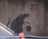 Файл=RAT1.jpg
Объём=69KB
Размеры=720x576
Дата=Июнь 20, 2008 RAT1.jpg