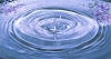 Файл=1_(4_of_4).jpg
Объём=226KB
Размеры=700x376
Дата=Нояб 17, 2009 1_(4_of_4).jpg