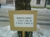 Файл=DSC00064.JPG
Объём=277KB
Размеры=1632x1224
Дата=Фев 21, 2009 DSC00064.JPG