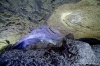 Файл=IMG_8786.jpg
Объём=97KB
Размеры=640x427
Дата=Май 30, 2011 IMG_8786.jpg