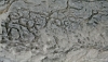 Файл=IMG_8966.jpg
Объём=55KB
Размеры=640x371
Дата=Май 30, 2011 IMG_8966.jpg