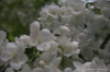Файл=IMG_9196.jpg
Объём=29KB
Размеры=640x427
Дата=Май 30, 2011 IMG_9196.jpg