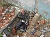 Файл=SL731735.JPG
Объём=359KB
Размеры=1024x768
Дата=Авг 27, 2008 SL731735.JPG