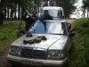 Файл=SL731744.JPG
Объём=1598KB
Размеры=2048x1536
Дата=Авг 27, 2008 SL731744.JPG